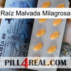 Raíz Malvada Milagrosa 44